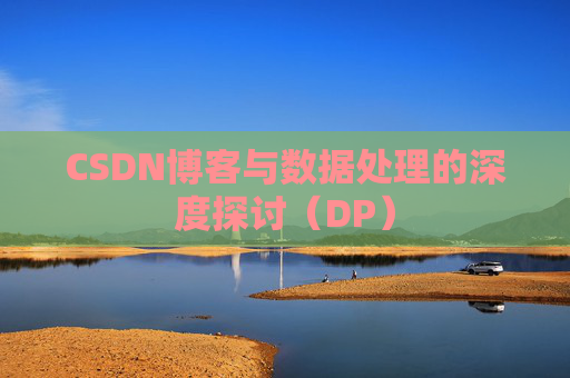 CSDN博客与数据处理的深度探讨（DP）